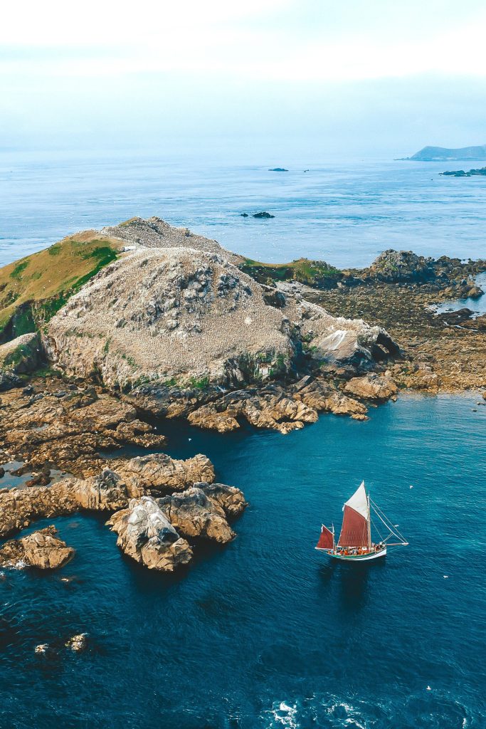 L'île de Rouzic de l'archipel des 7 îles à Perros-Guirec