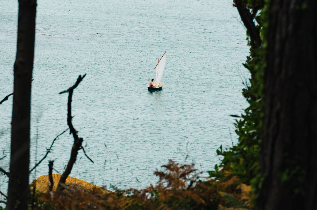 Le Nautica - Feed (2)